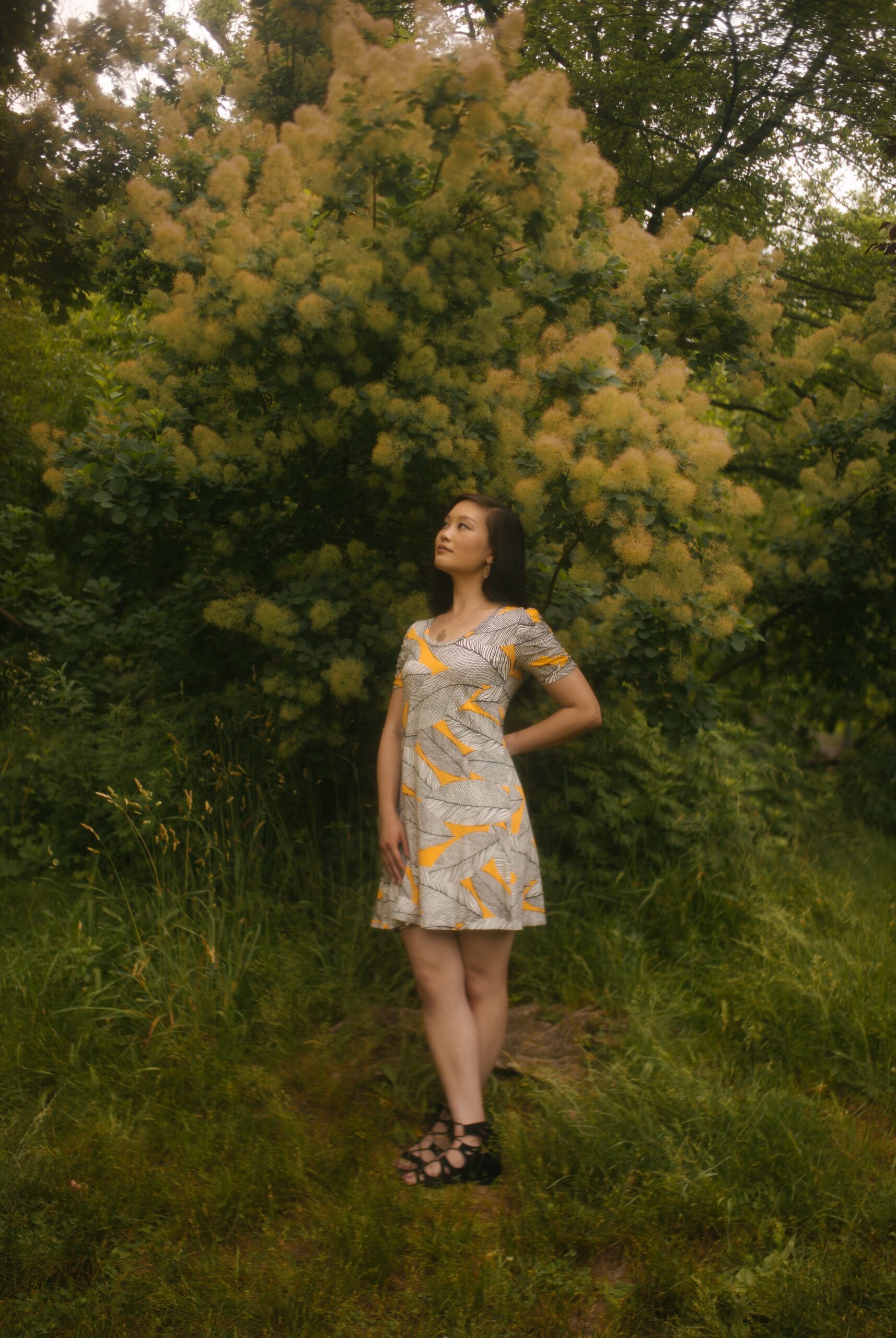 Jessica Hwang standing amidst a forest of trees with vibrant yellow flowers, her gaze fixed on the distant horizon